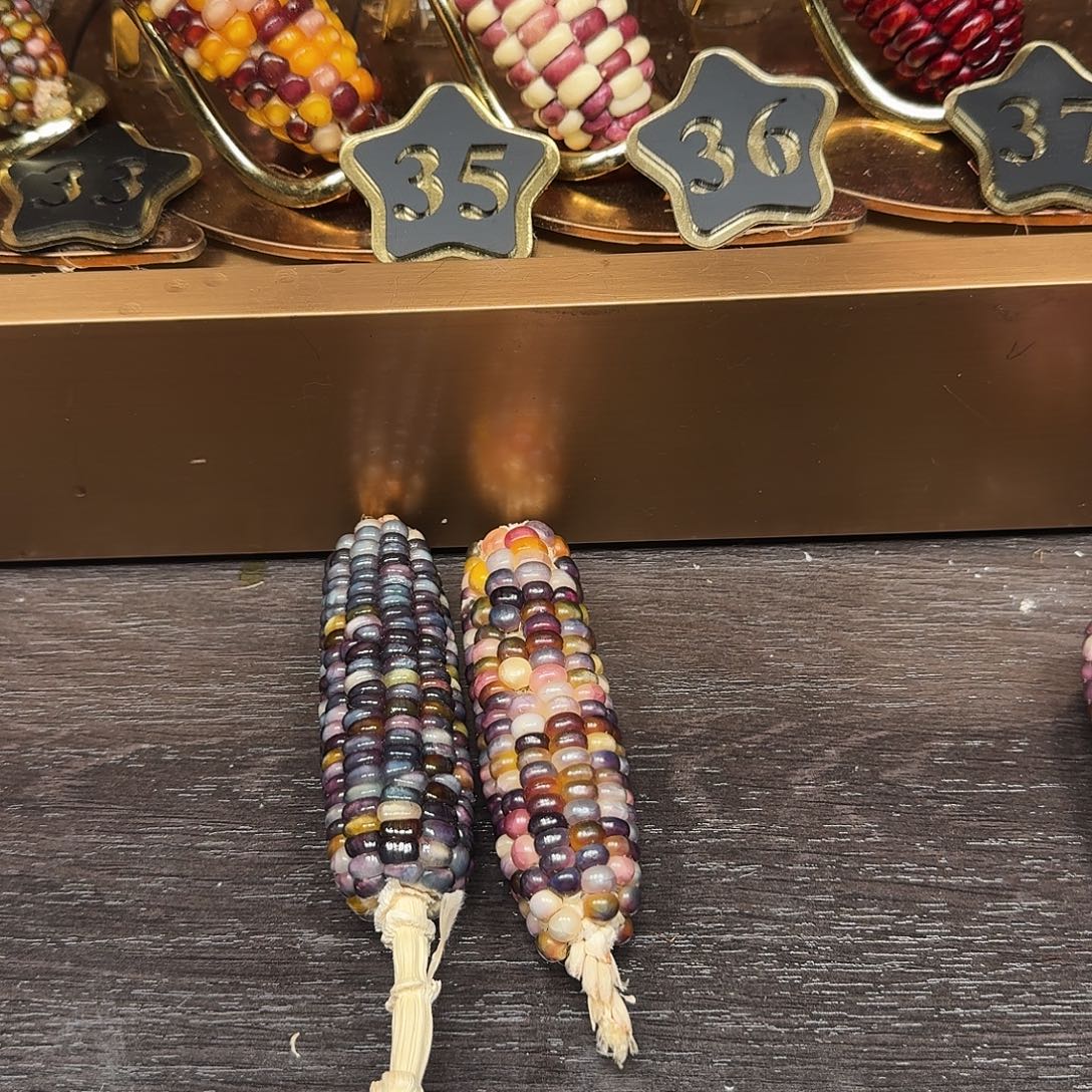 锅***右柏香籽/百香籽吊坠