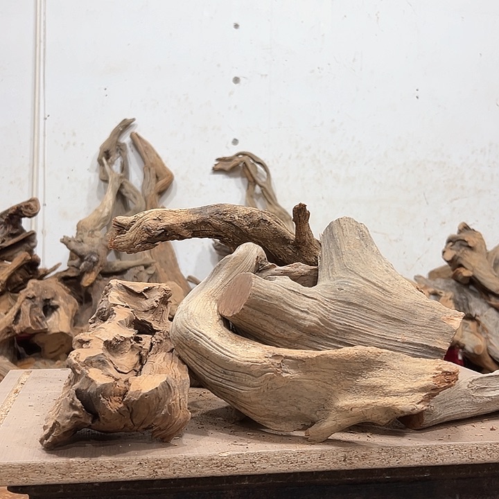 柏木谢*明我们的生活也是如此吧哈哈我