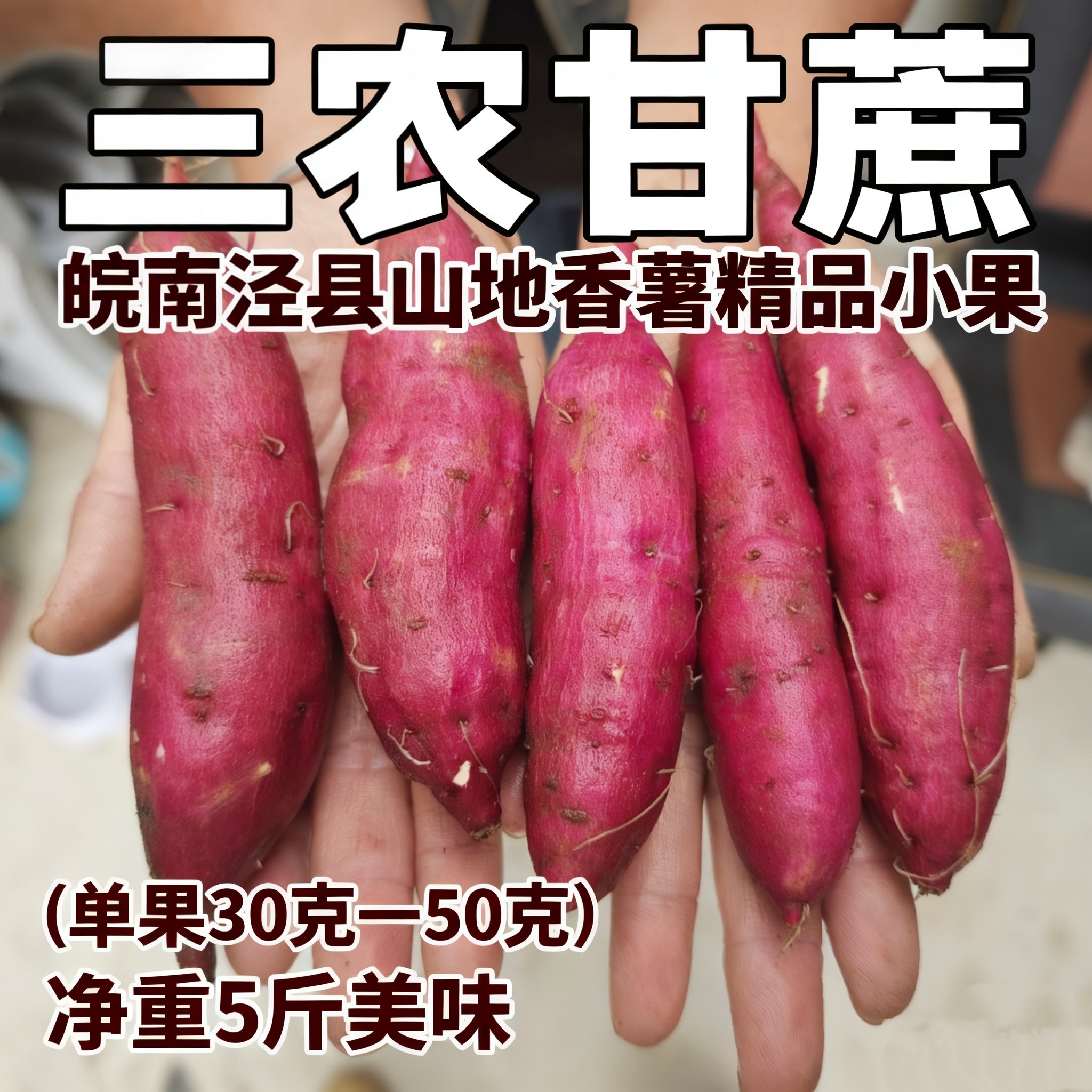 【三农甘蔗】皖南泾县山地香薯精品小果（单果30克—50克）5斤美味红薯