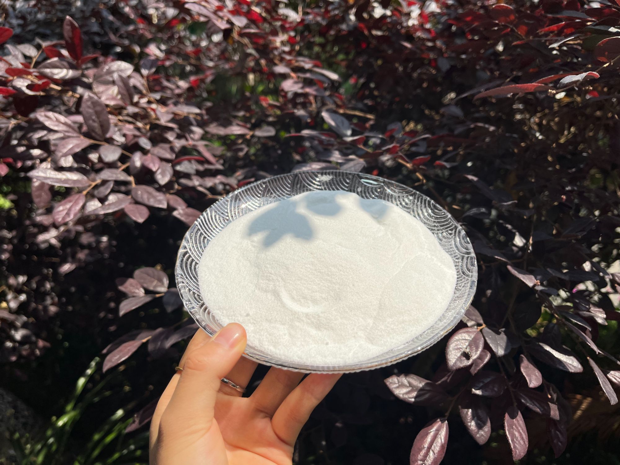 1【白-桦-树-粉】净含量：250g-1000g【阿徐现收】枸杞