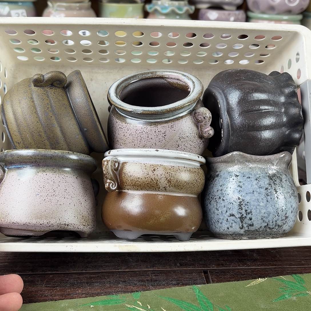 陶瓷量货/口5-7高深浅搭配发6个