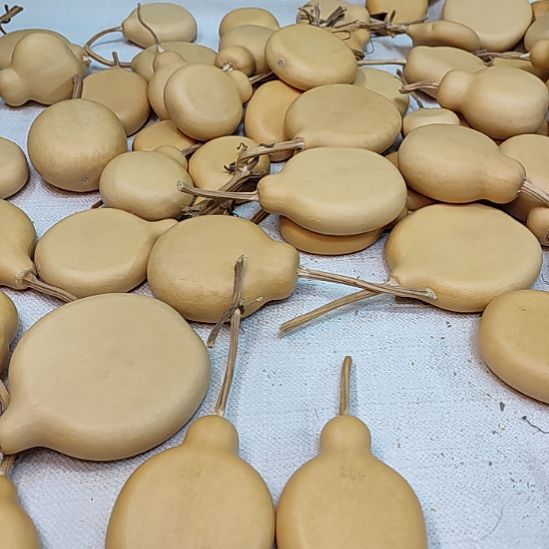 元***升直播闪购专属链接