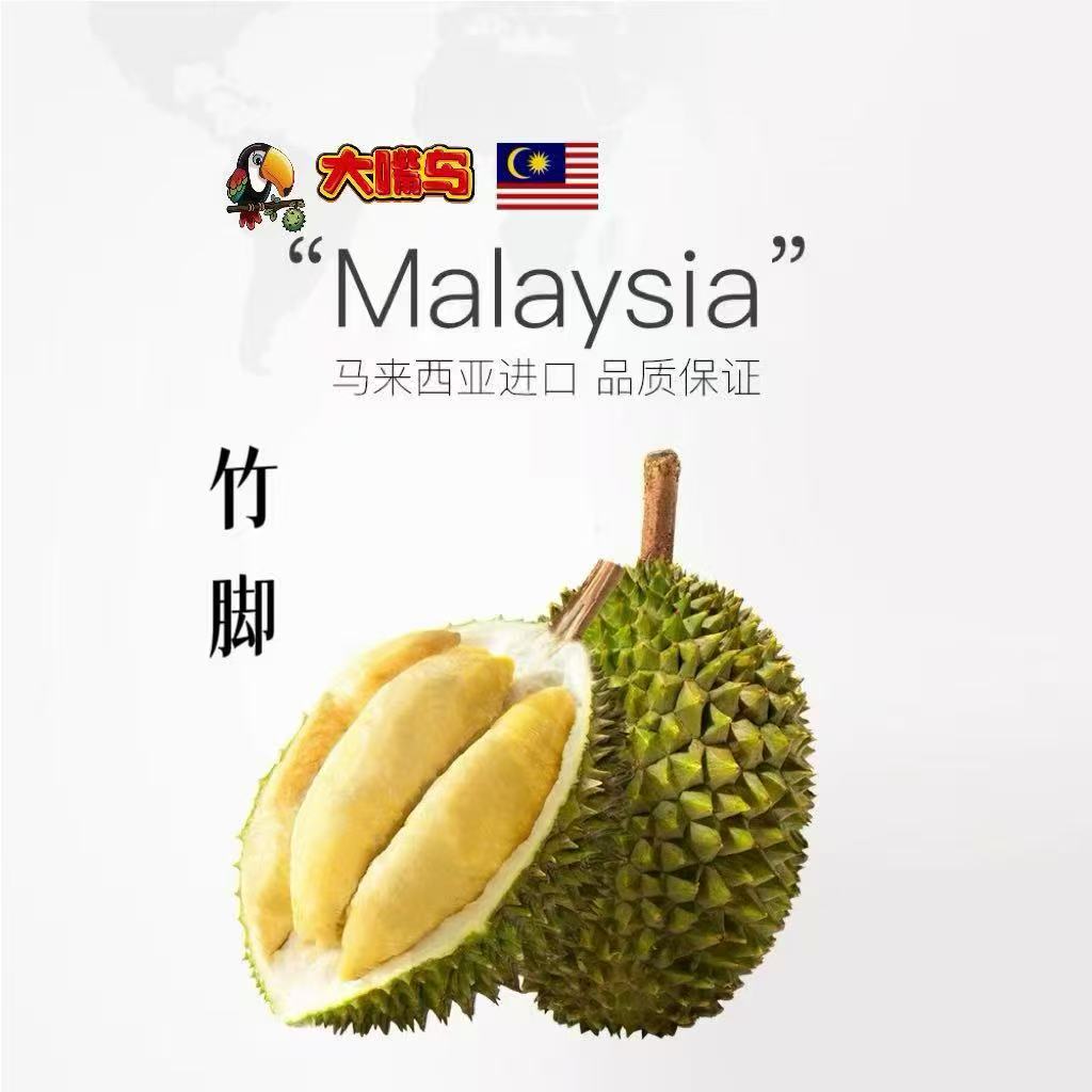 D160竹脚榴莲马来西亚液氮锁鲜树熟顺丰包邮