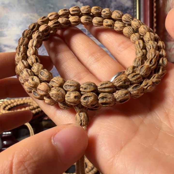 柏香籽/百香籽手串李*宝