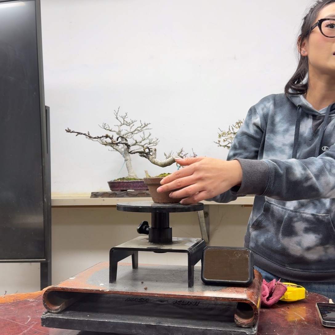 R***y无花朵407顺丰到付不包邮