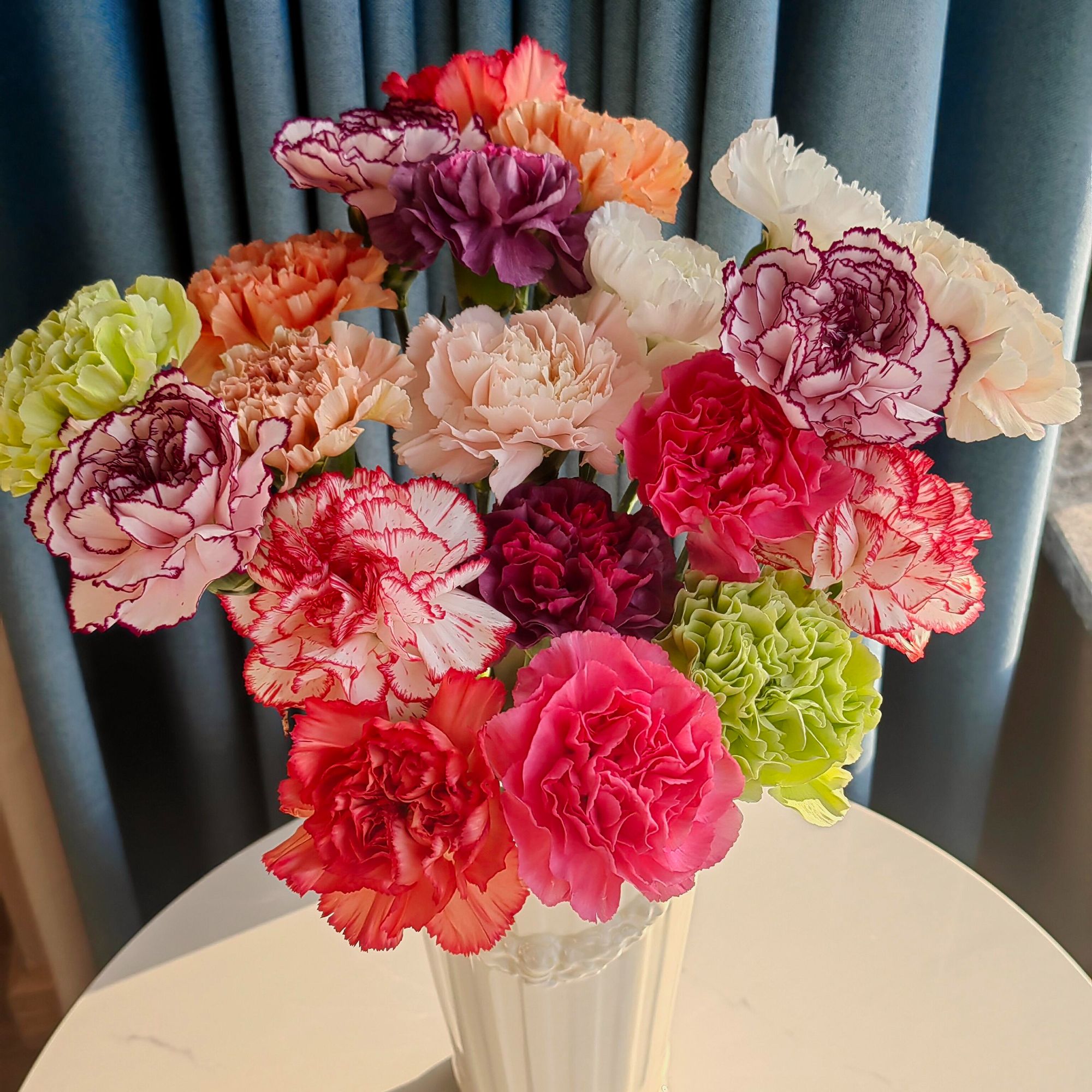 【七彩康乃馨】任意两单京东包邮（一单要+5元运费）花期长 浅水养护