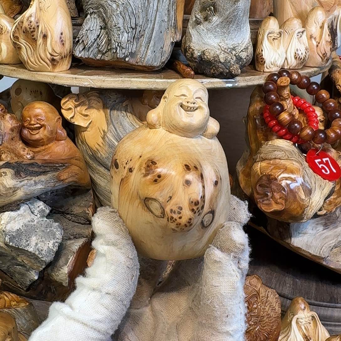 柏木（崖柏）66666666