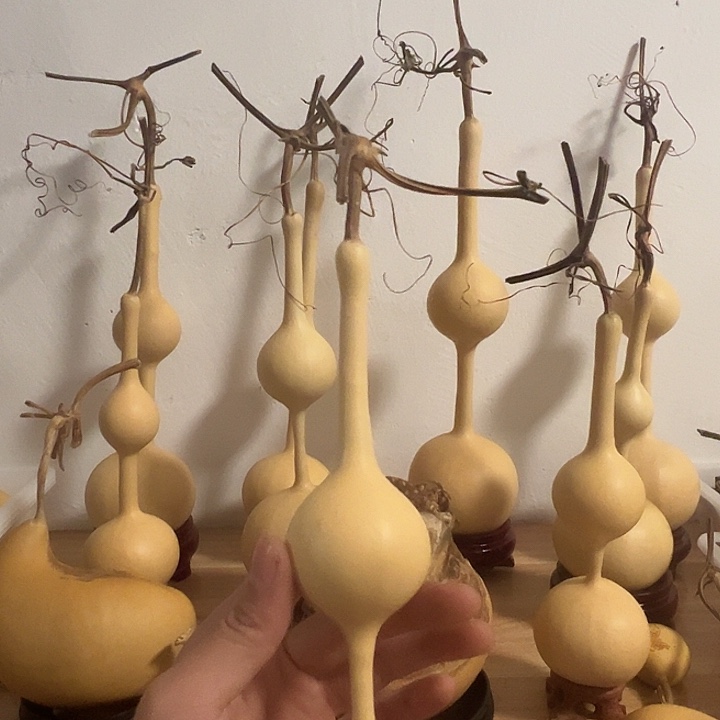 钱***镜三庭文玩葫芦摆件福利首单200不退不换