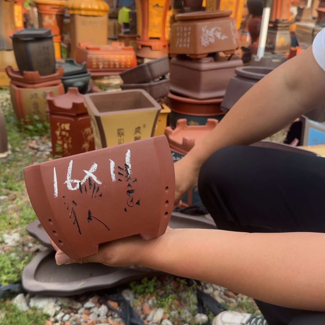 紫砂花盆花盆盆景盆栽