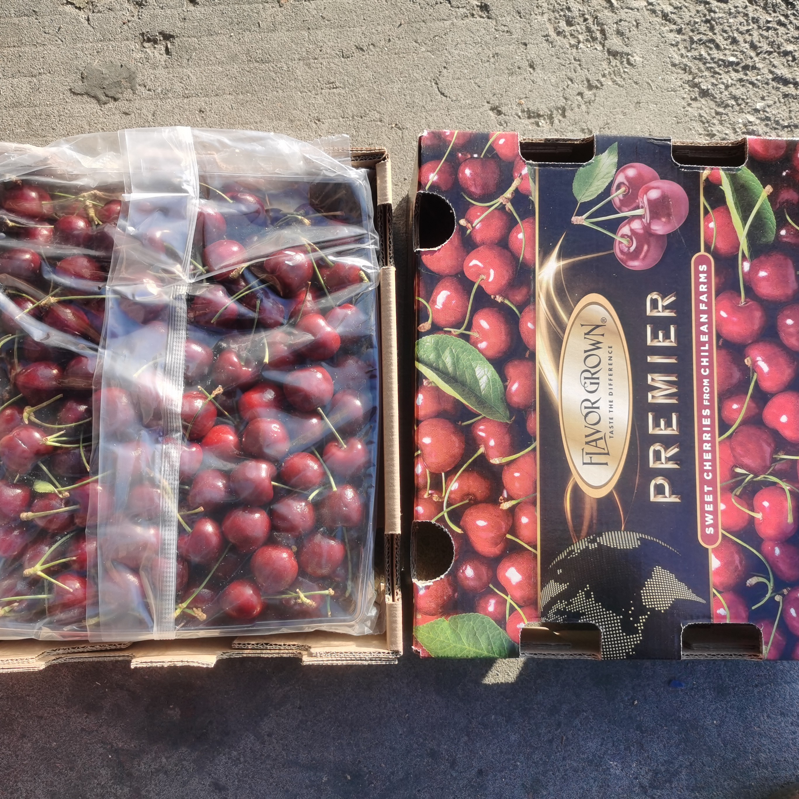 智利海运车厘子 24年12月17日拉宾斯JD原箱5斤（内附赠果经卡）