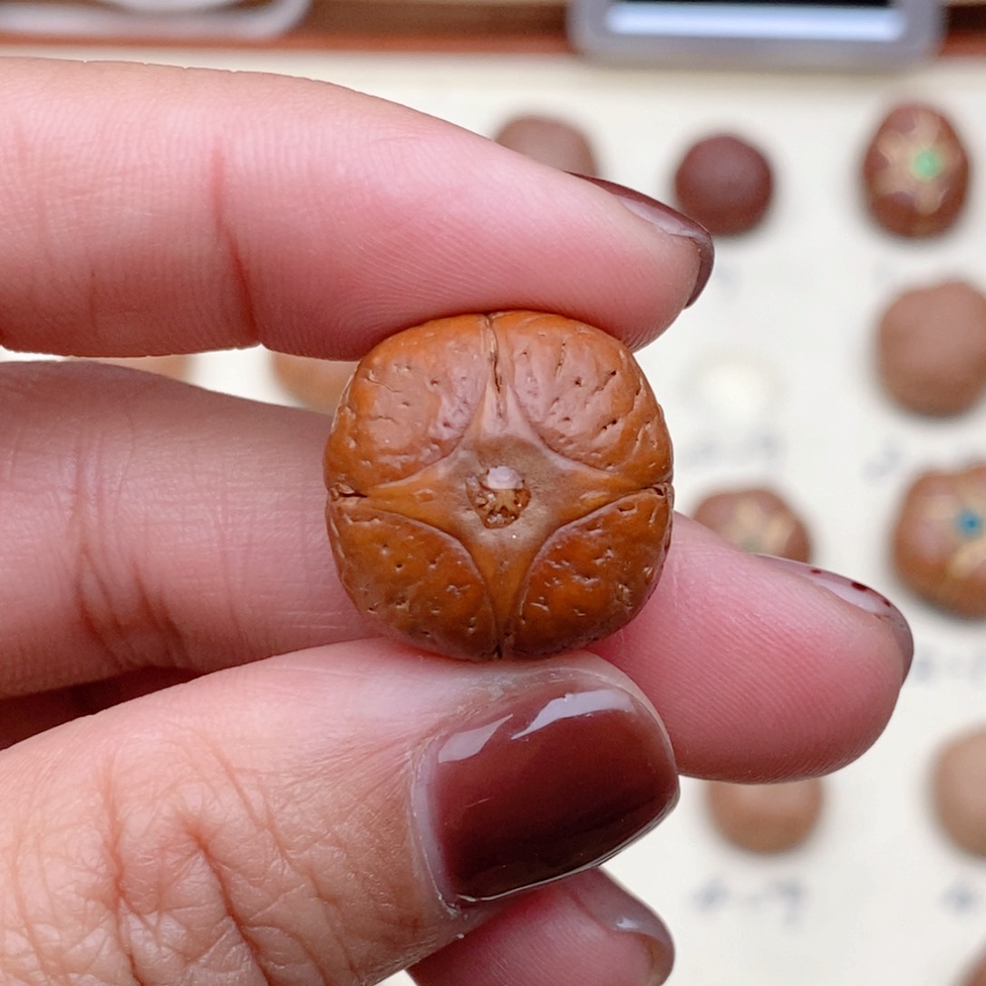 龙眼菩提吊坠关*宁麒麟