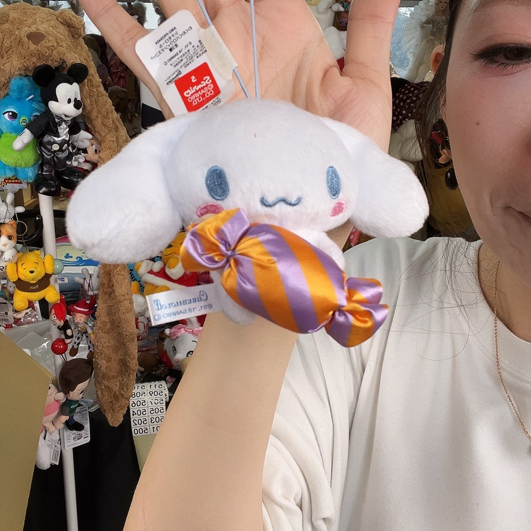 毛绒500号全新小玉桂