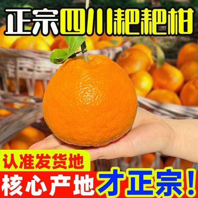 【寒冷地区零下5度以下保温箱发货】四川耙耙柑香甜多汁产地直发