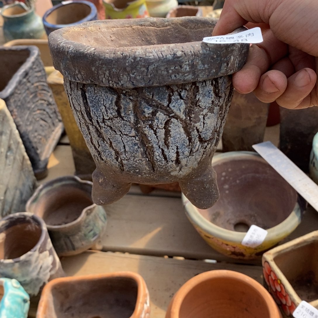 红陶排*48号多肉盆一个呀