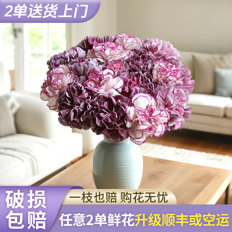 【源头优选】野马+紫精灵康乃馨-云南直发鲜花家居水养插花鲜切花