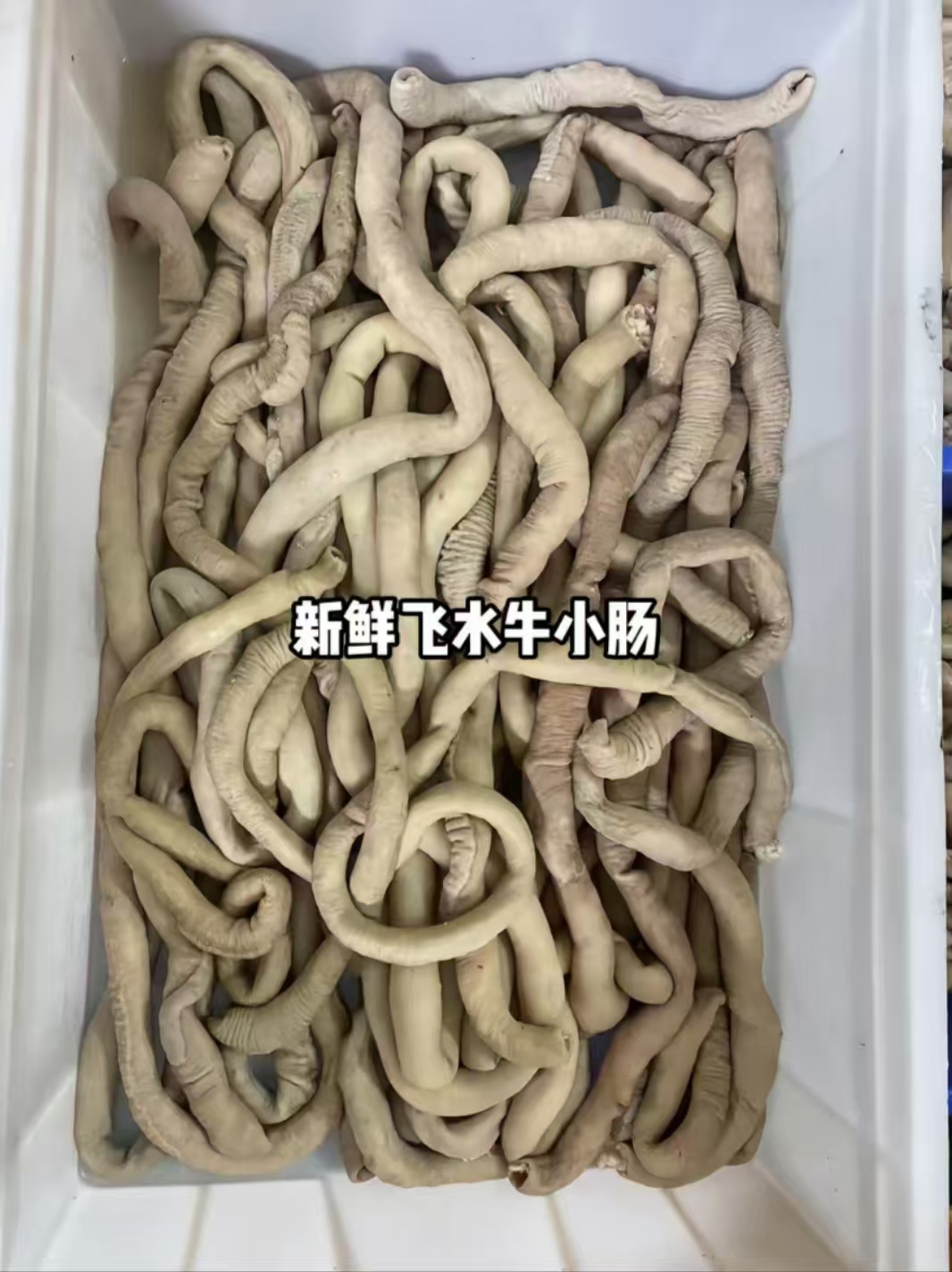 【每天现宰】半熟新鲜小肠半成品精修带油黄牛