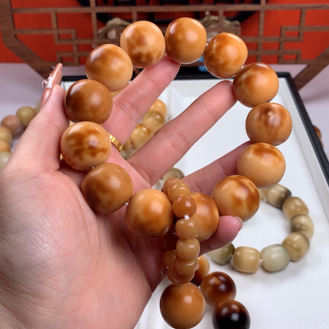 菩提根/象牙果吊坠@****?