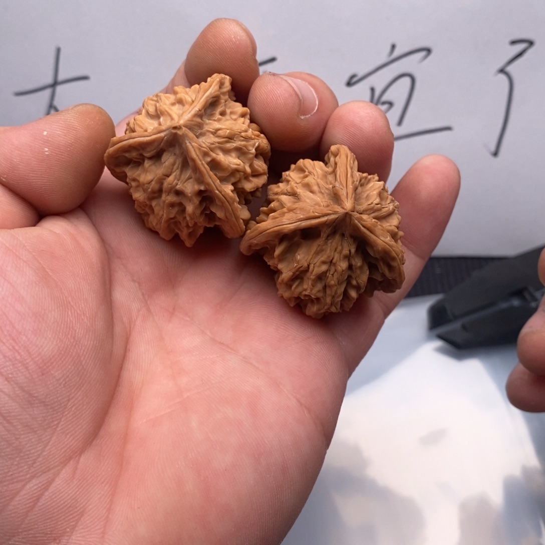 核桃哈哈哈哈哈哈哈哈哈哈