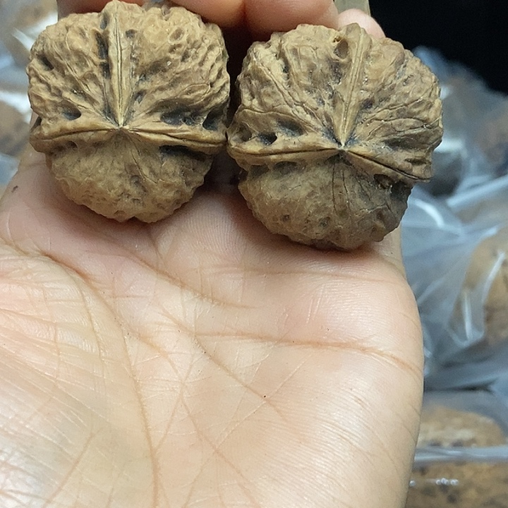 把件文玩核桃云南铁核桃基地96