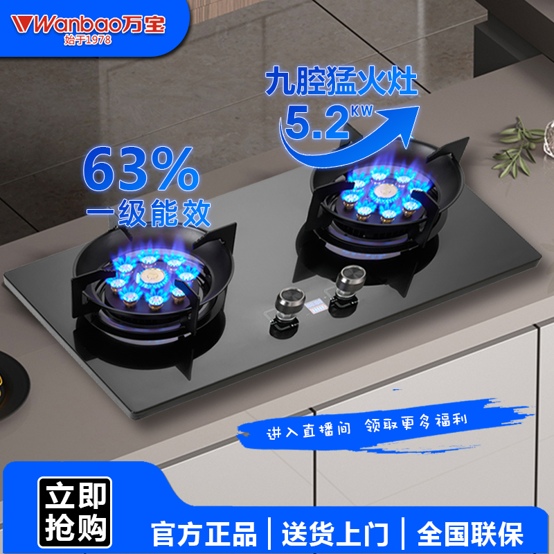 九腔猛火双灶家用天然气灶嵌入式台式两用防爆定时灶具