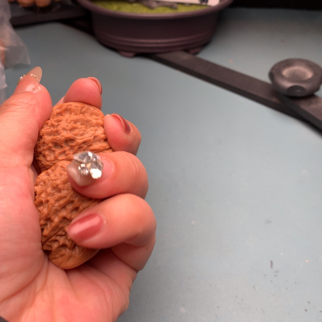 文玩核桃把件维修血麒麟4041