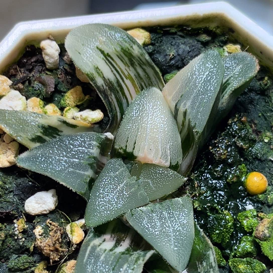 恭喜发财大吉大利874