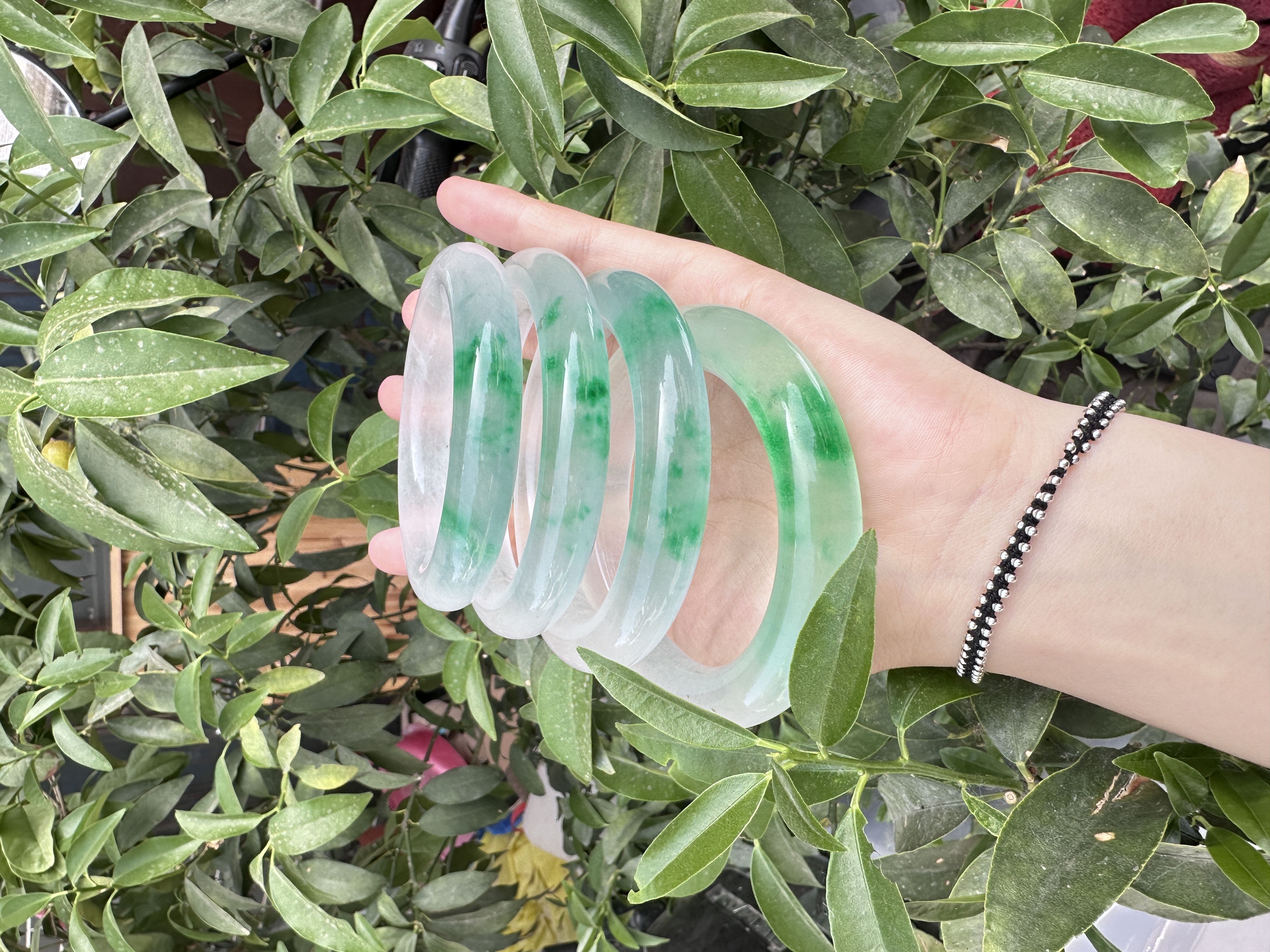  冰透胖圆一口翠 超哥专属【高货冰冰翠】时尚显白