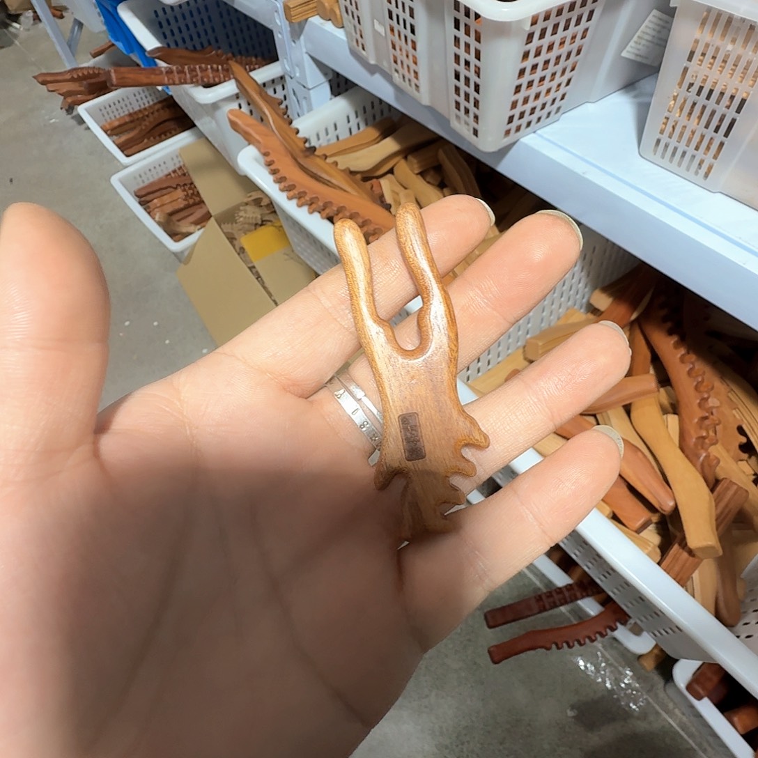 红贵宝耳朵瑕疵款