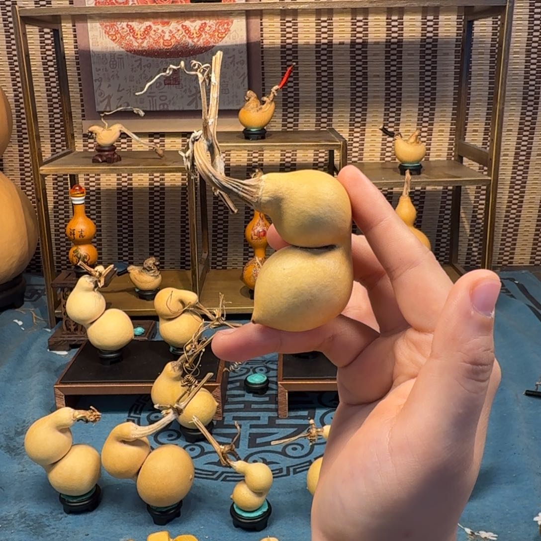 唐***J手把蚂蚁弓背贴肚