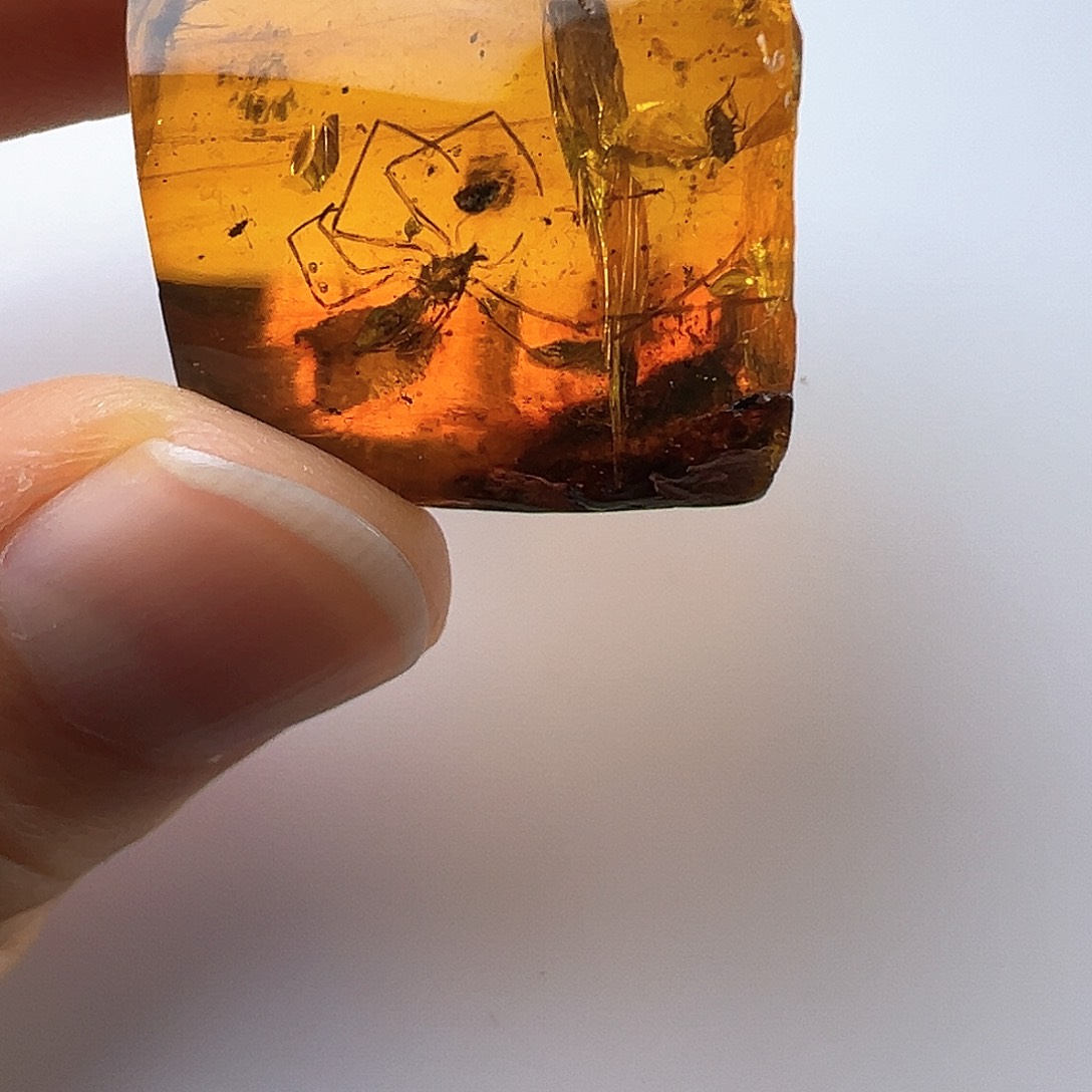 琥珀裸石未镶嵌琥珀虫珀