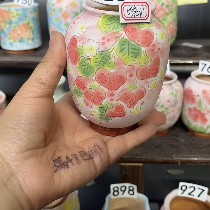 手工制作多肉花盆