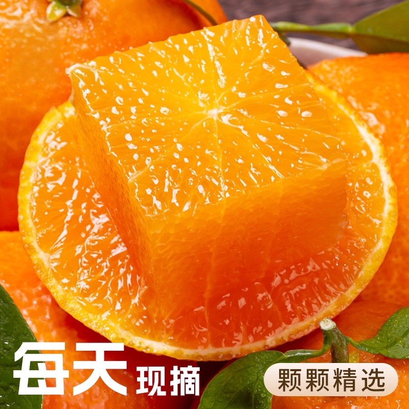 四川爱媛38号果冻橙子新鲜水果现摘现发5斤装大果【梦秋专卖】