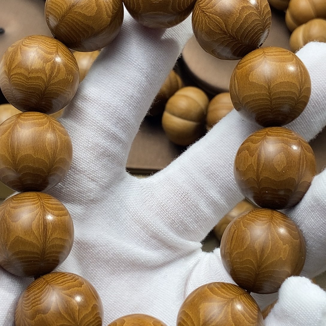 那***的六道木山西五台山