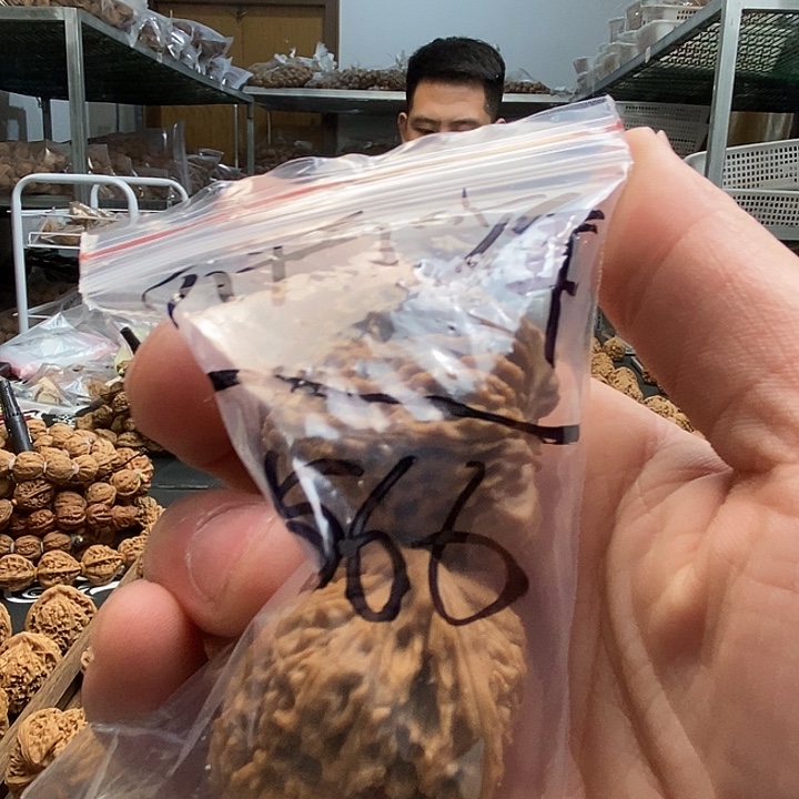 不***年大叶紫檀（黑酸枝木类）南疆