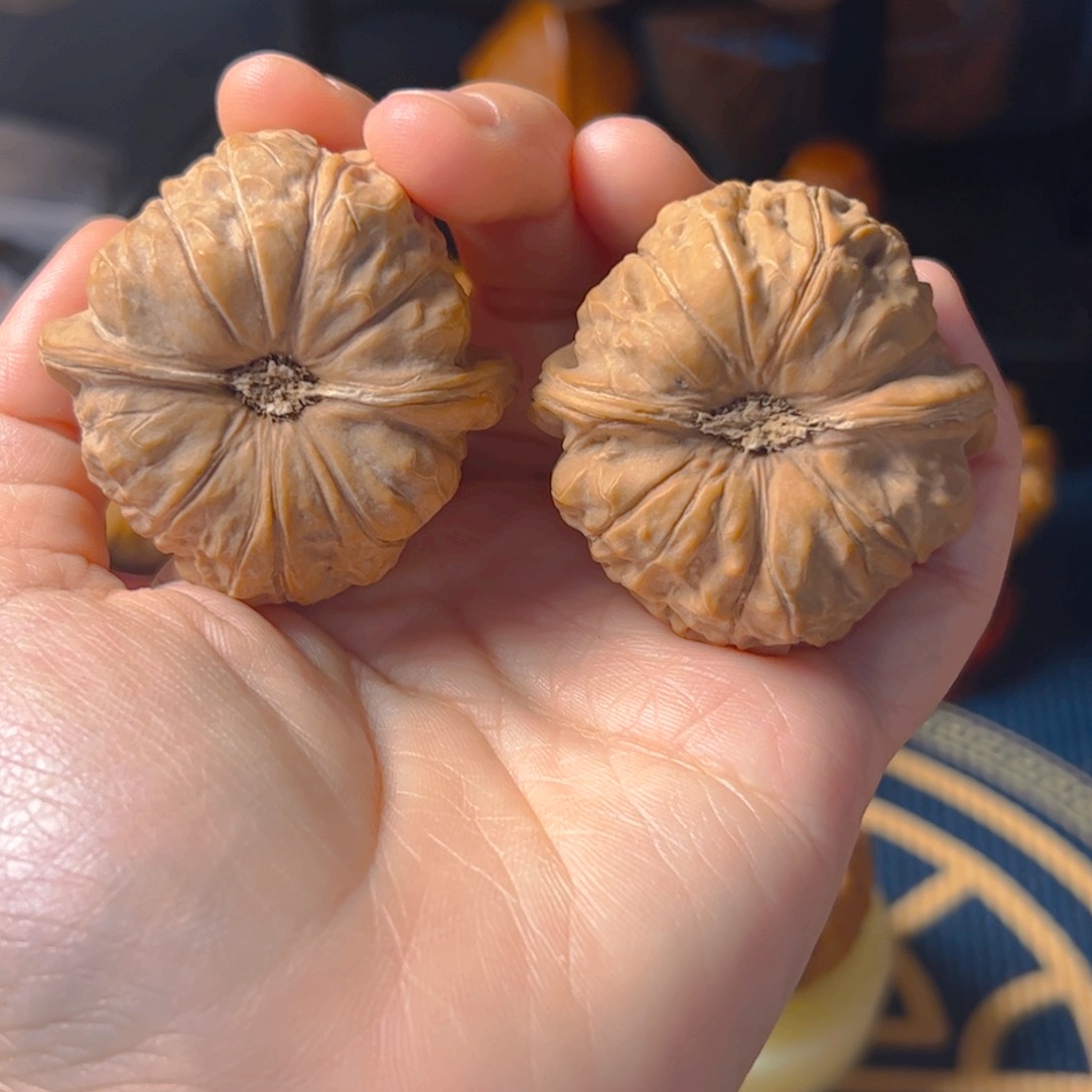 文玩核桃把件南瓜墩