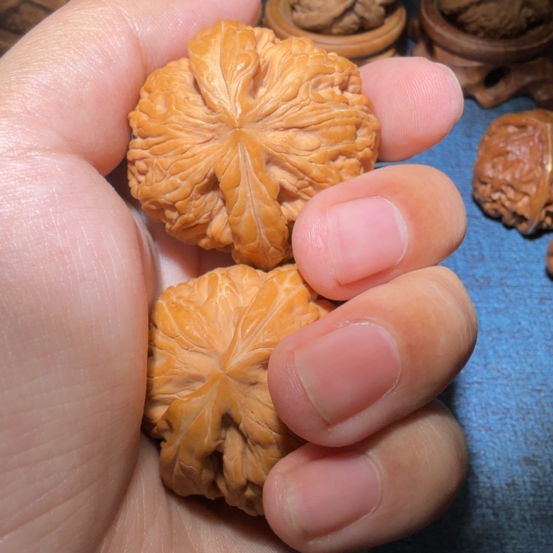文玩核桃把件Z*。红锦鲤42尺寸025
