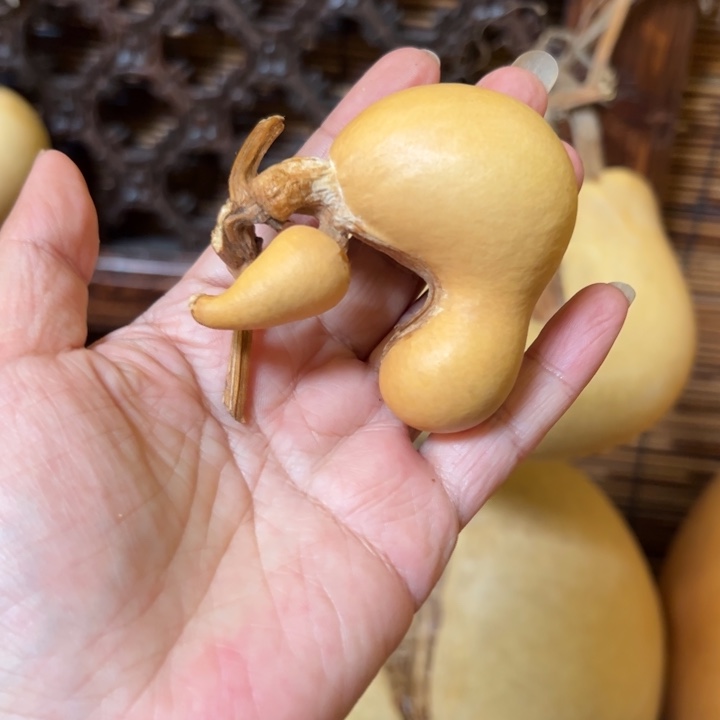 新***秀葫芦娃的时候就像我