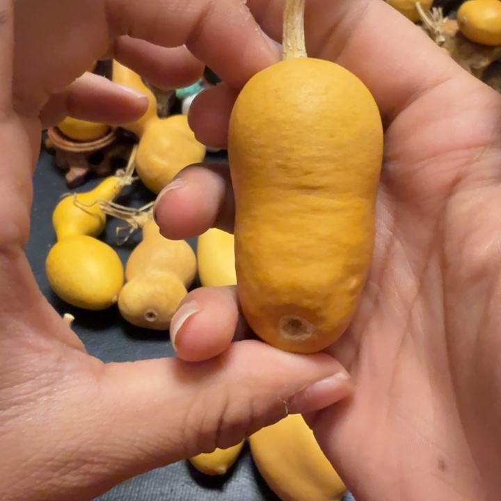 染***一888……………………………………