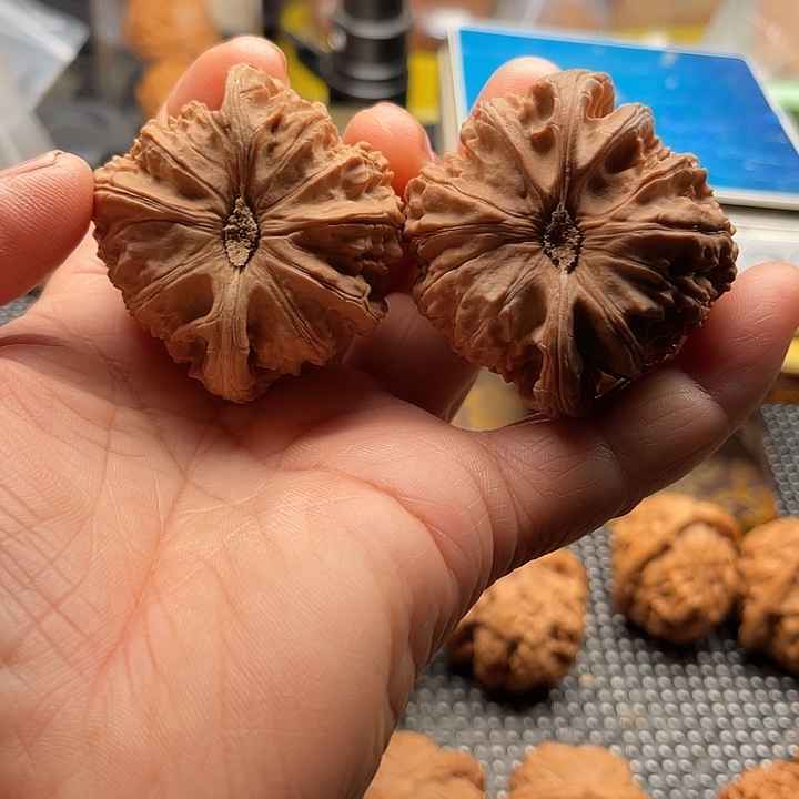 星***辰把件桃核球白边48