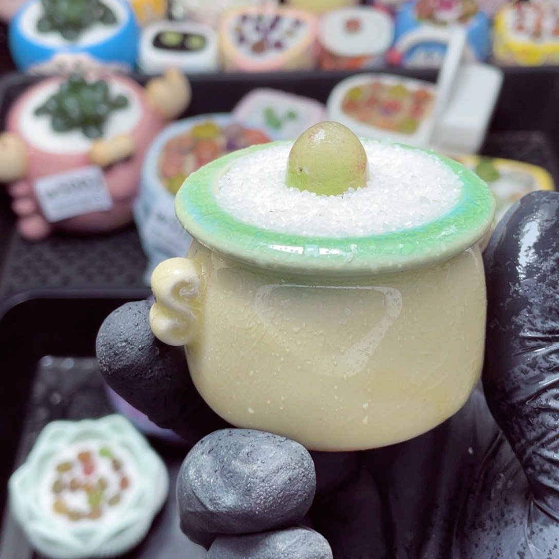 w5009--带盆土发货，零下地区拍保温箱