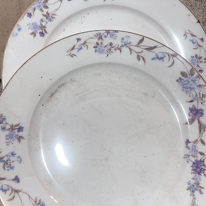 搪瓷微瑕疵两个10.5英寸