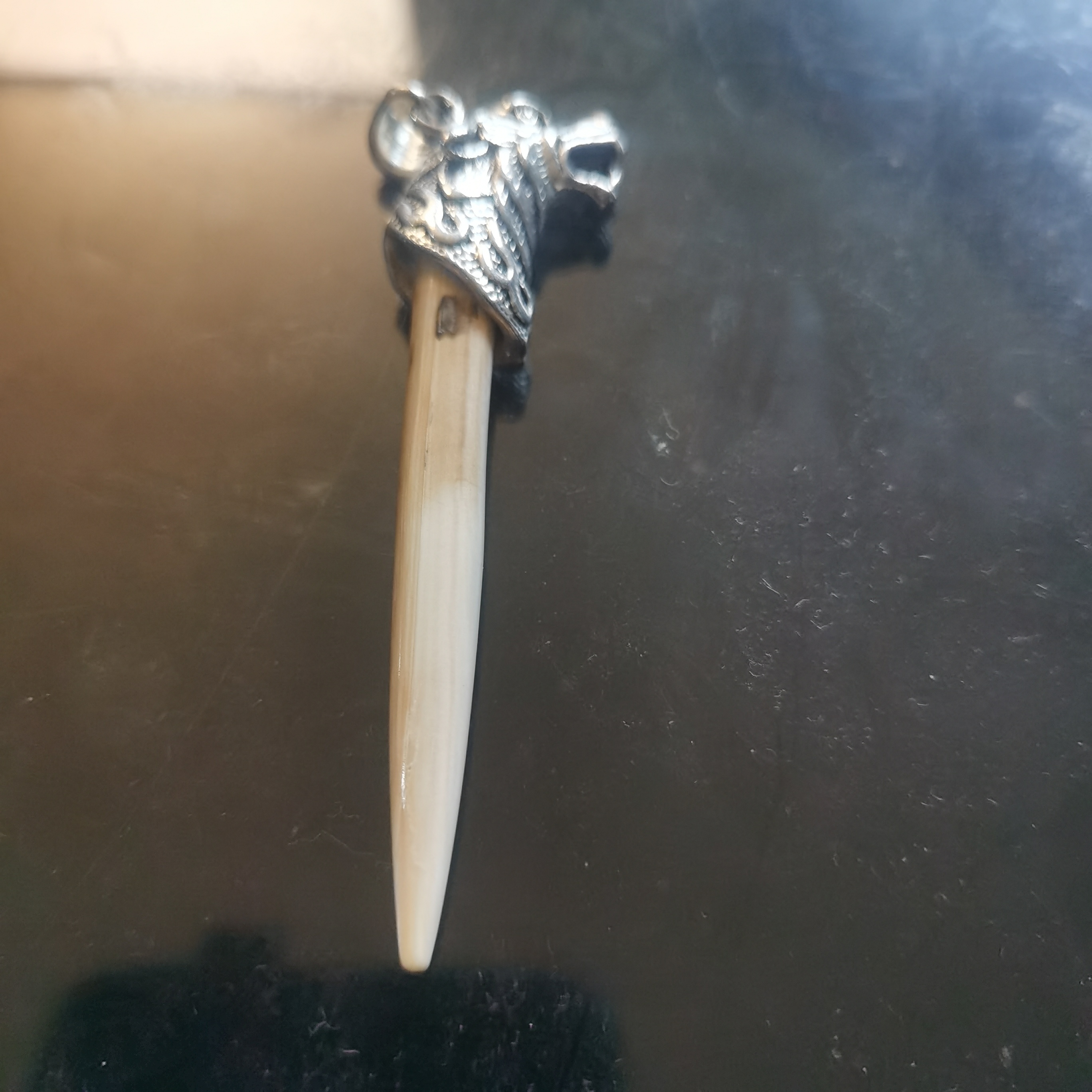 猛犸牙牙尖约12克HH29