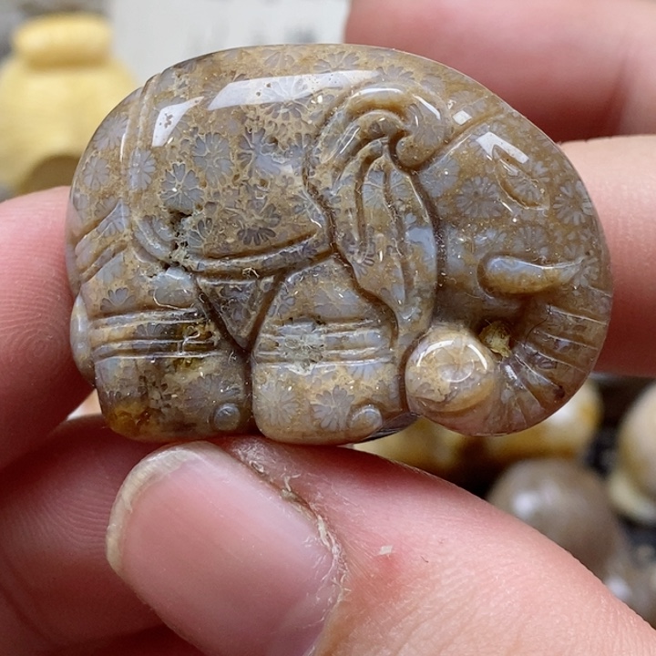 颈饰未镶嵌硅化珊瑚（珊瑚玉）有瑕