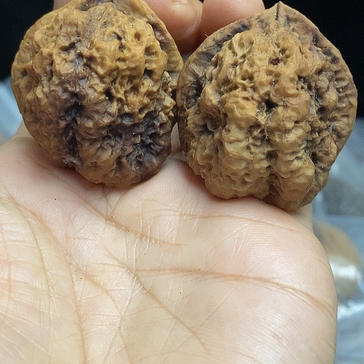 文玩核桃把件云南铁核桃基地98