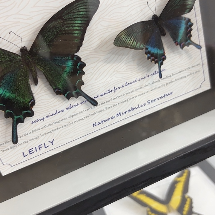 十寸新背景绿带春夏