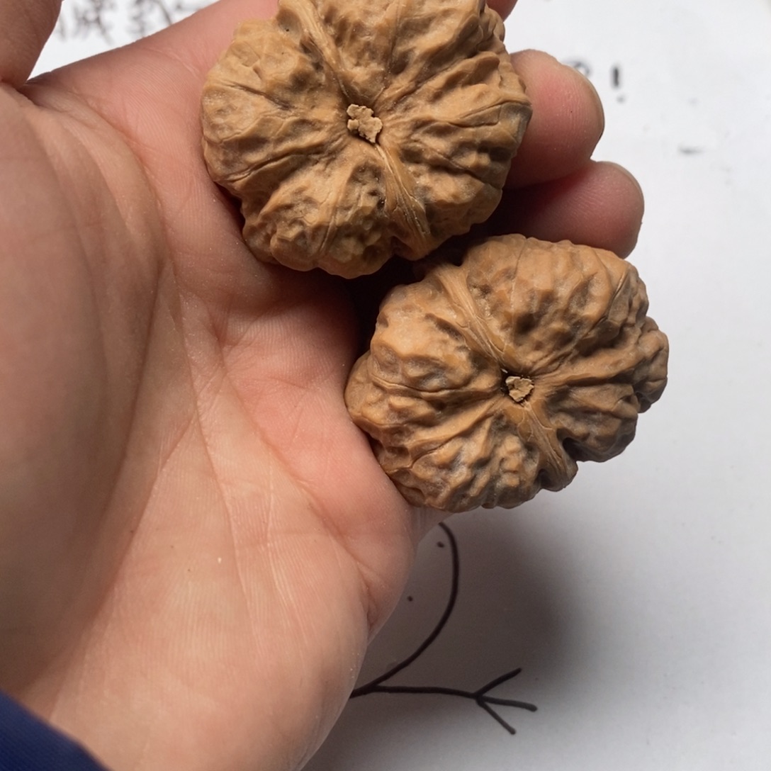 木***）好的我真的是太喜欢了好久