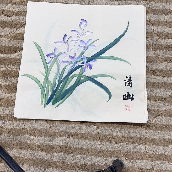 国画花鸟的翅膀和羽毛35.35