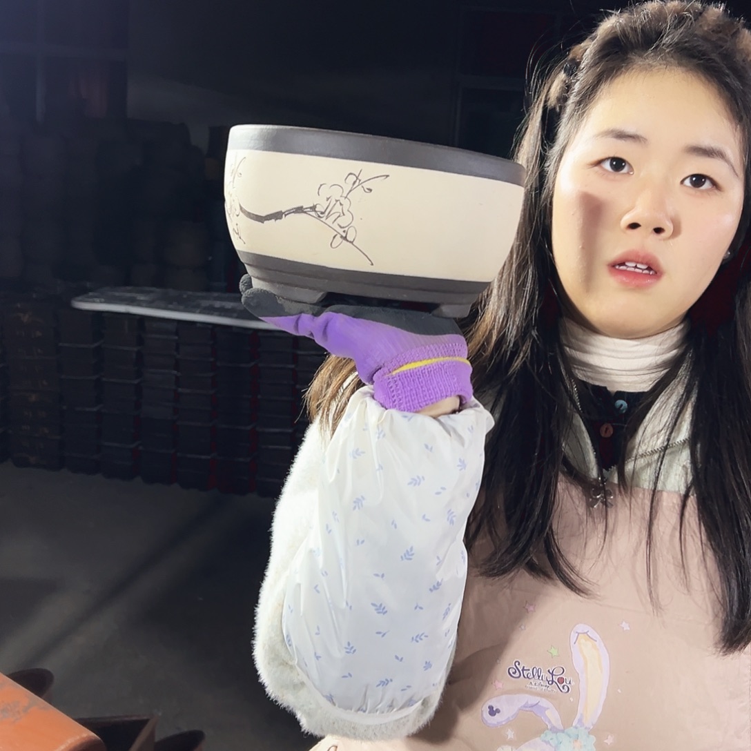 17白色绿萝小号一个