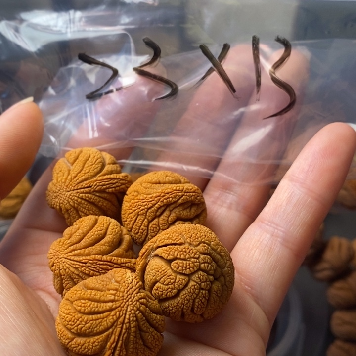 文玩核桃手串秦岭野生龙纹桃核23