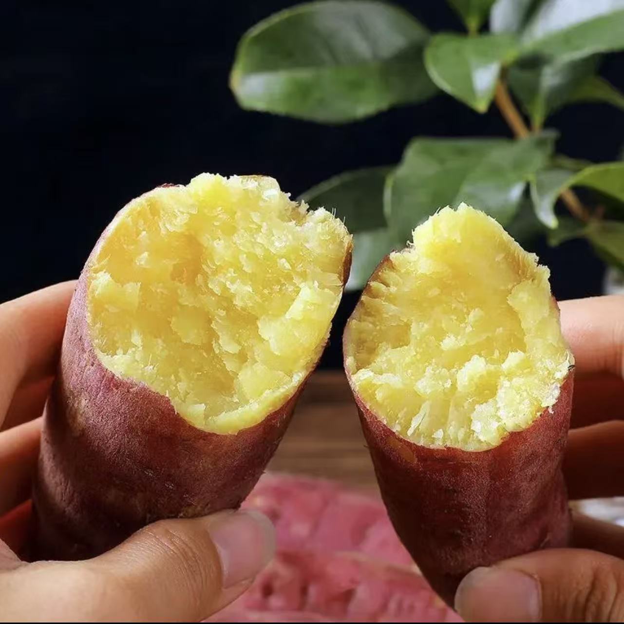 连州高山特产 高山番薯 西瓜红 板栗香 粗粮 五谷杂粮 代餐